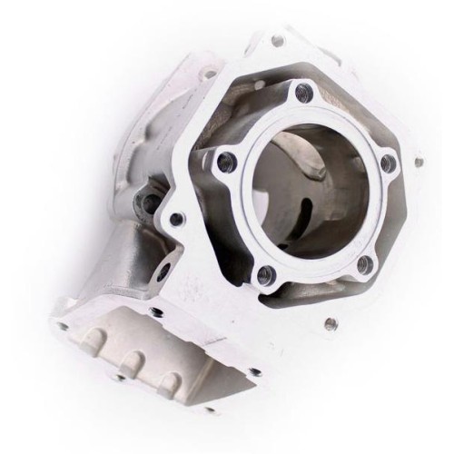 Cilindro Rotax MAX in Offerta - Acquista su Mondokart