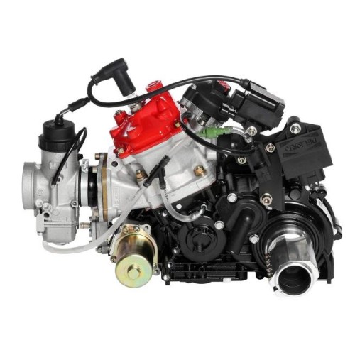 Piezas Rotax DD2 en Promo - Compra Ahora en MondoKart