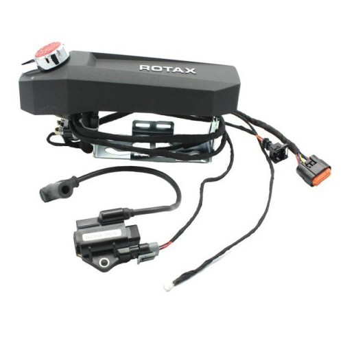 Encendido Rotax MAX en Promo - Compra Ahora en MondoKart