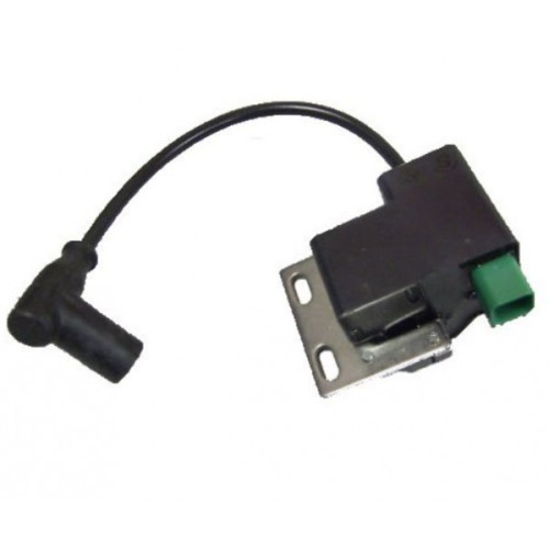 Accensione Rotax DD2 in Offerta - Acquista su Mondokart