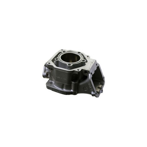 Cilindro Rotax DD2 en Promo - Compra Ahora en MondoKart