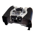Cylinder & Head TM 60cc mini