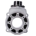 Head & Cylinder MXS
