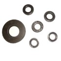 Oil Seals