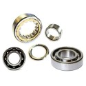 Engine Bearings