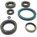 Oil Seals